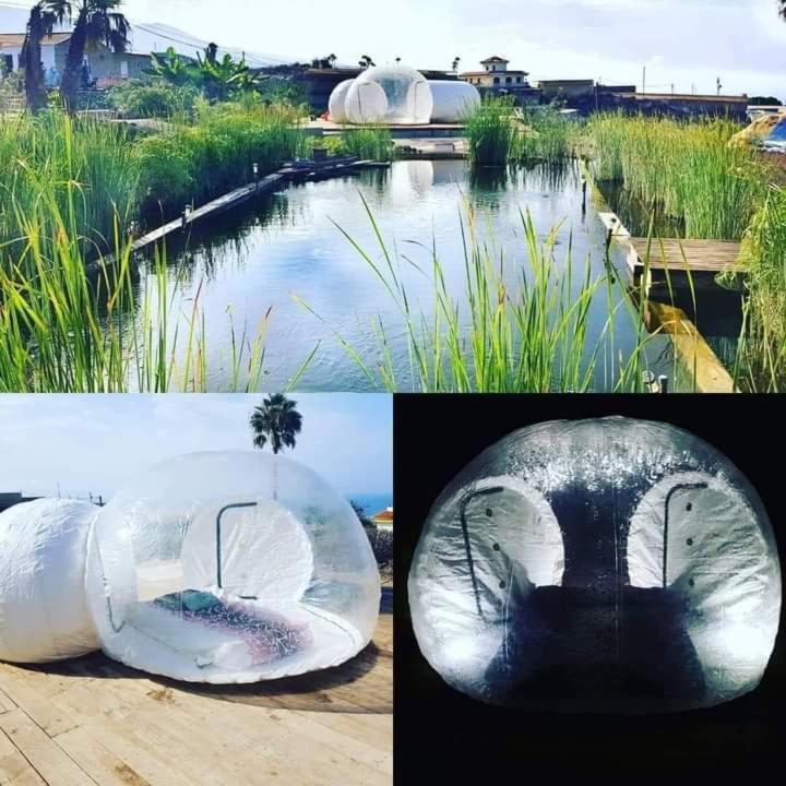 Maison d'hôtes Eco Camping Nueva Vida à Chío Extérieur photo